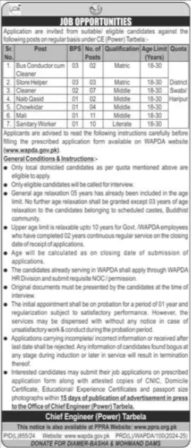 WAPDA New Jobs 2024 Advertisement