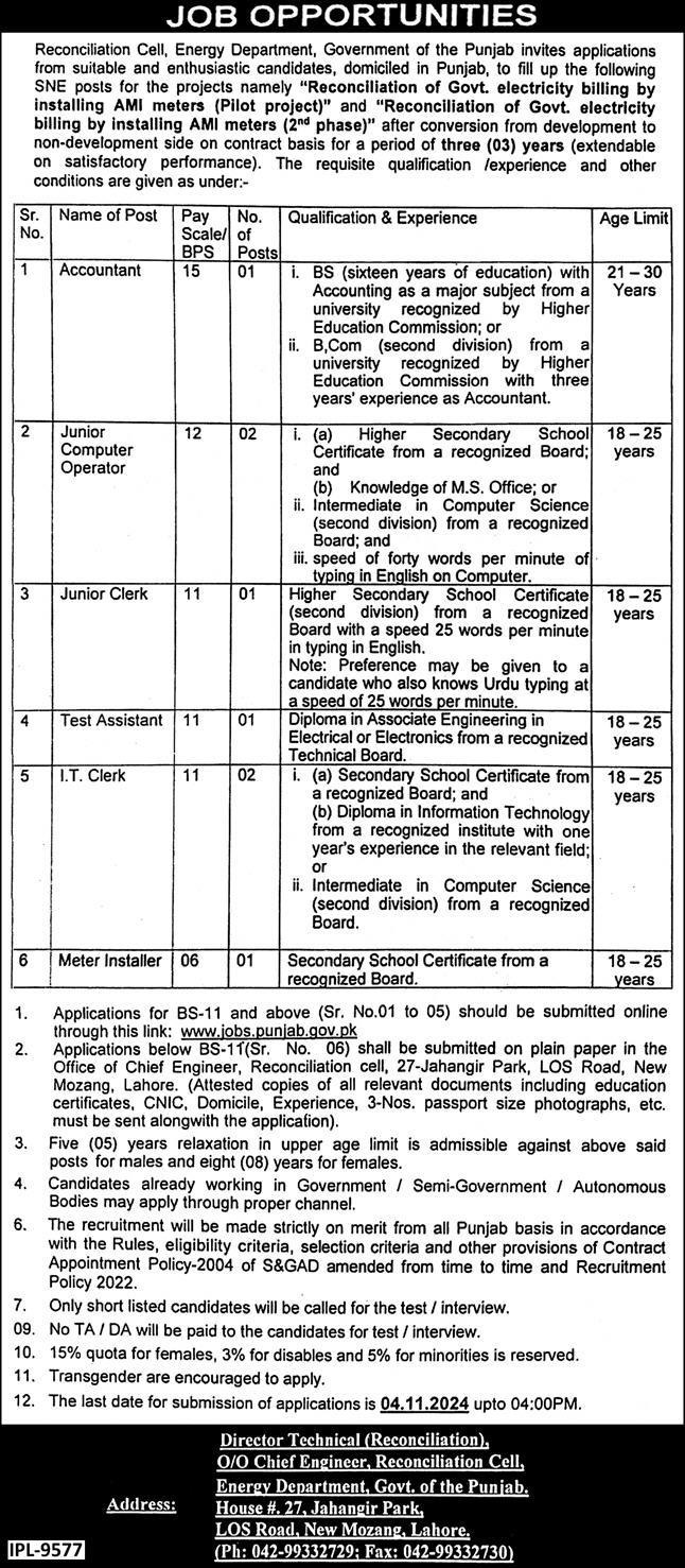 Energy Department Punjab 2024  Advertisement