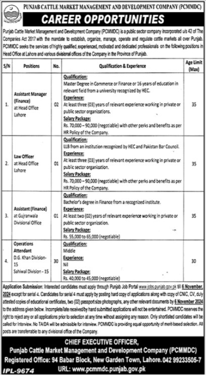 Punjab Cattle Market Management and Development Company Jobs 2024 Advertisement