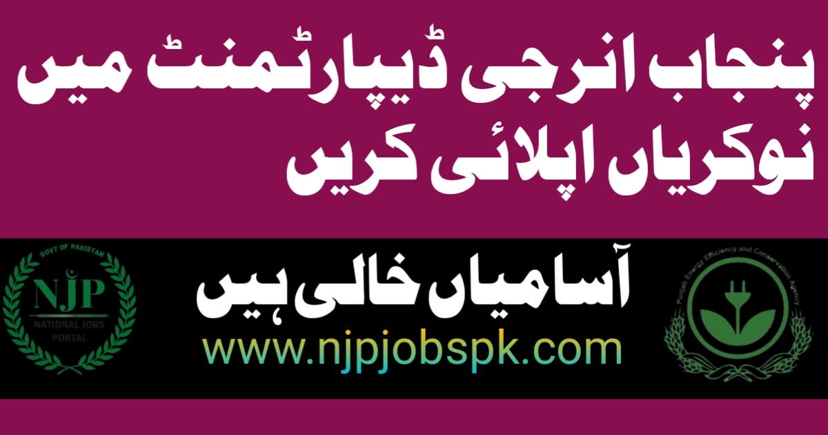 Energy Department Punjab 2024 Apply Online