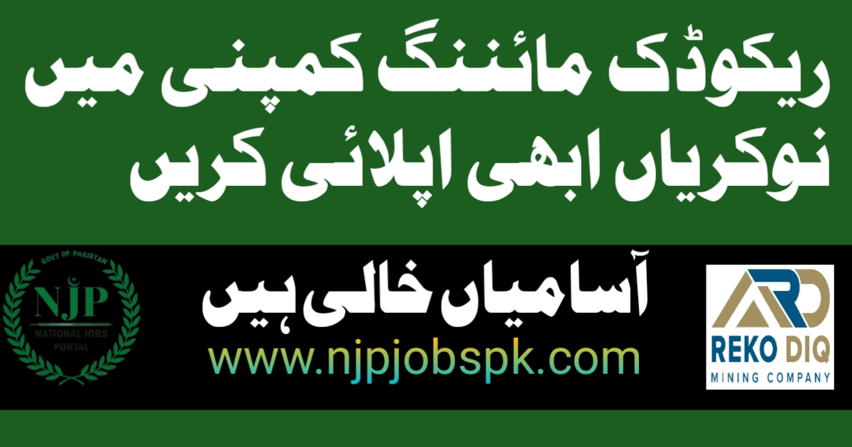 Reko Diq Mining Company Jobs 2024 Online Apply 