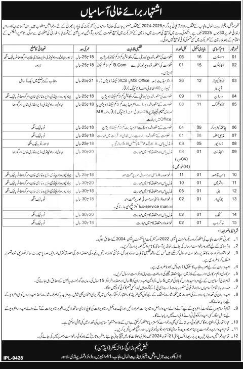 Social Welfare and Bait-Ul-Maal Punjab Jobs 2024 Advertisement 